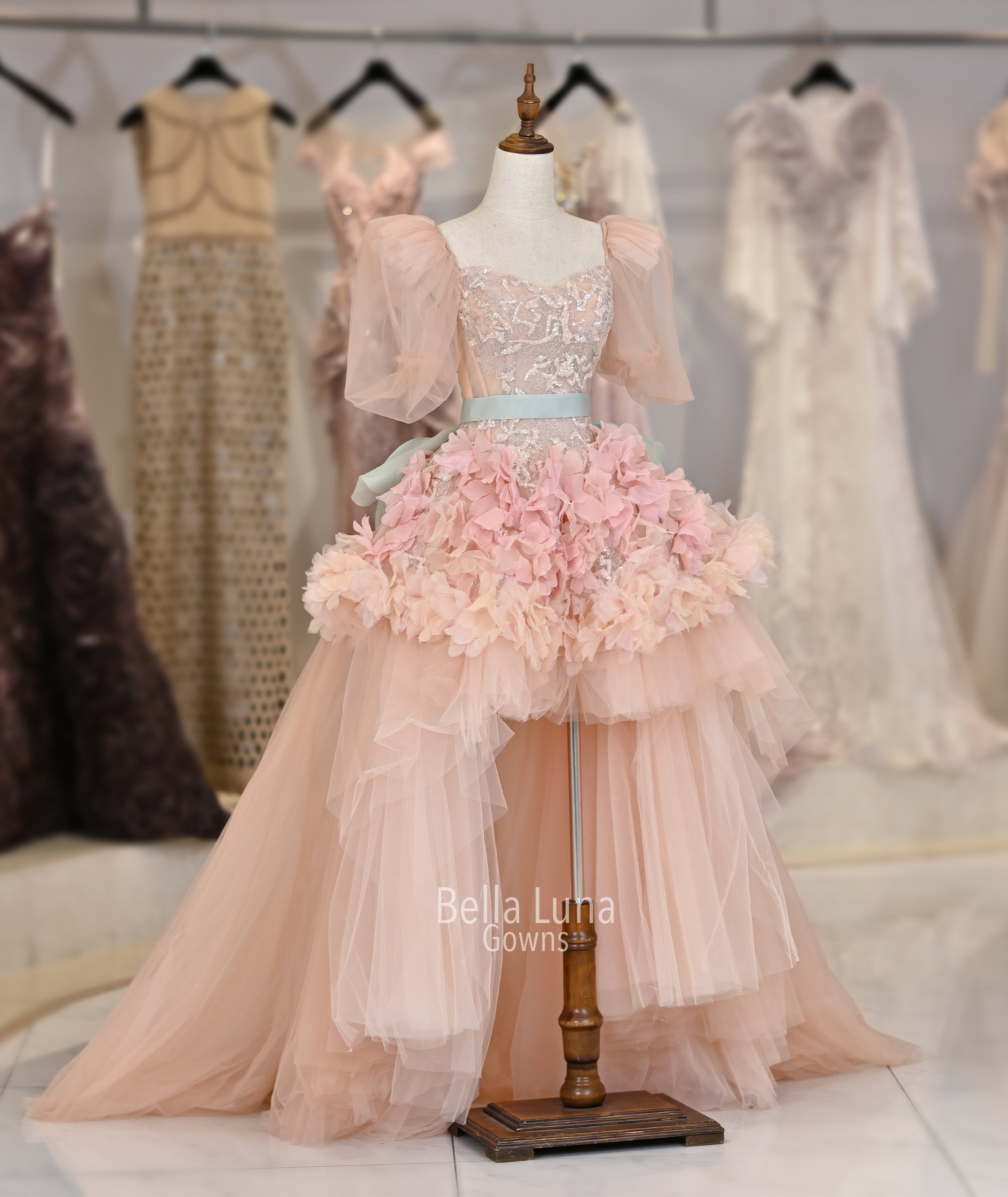 VIP1829 - Bella Luna Gowns