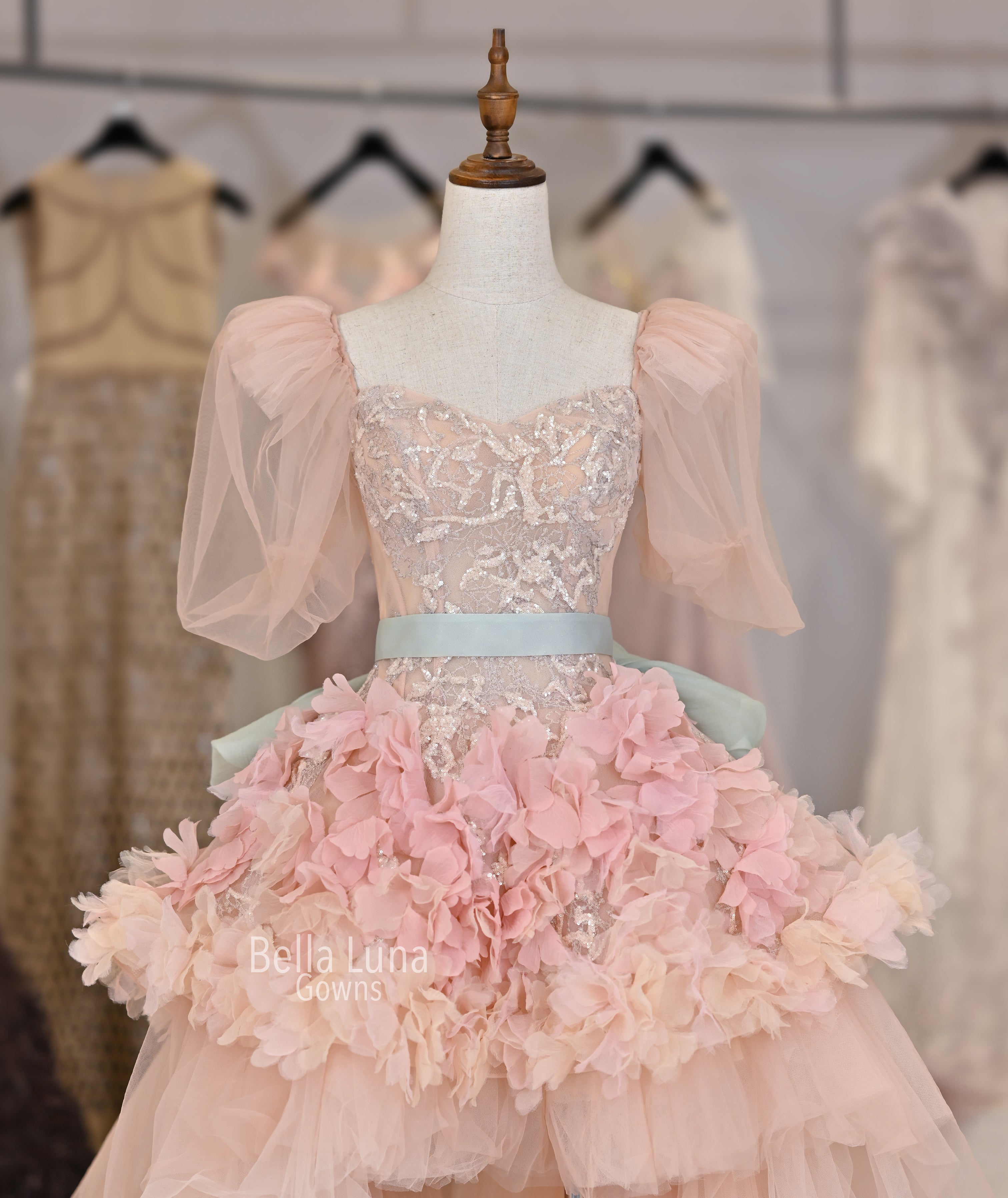 VIP1829 - Bella Luna Gowns