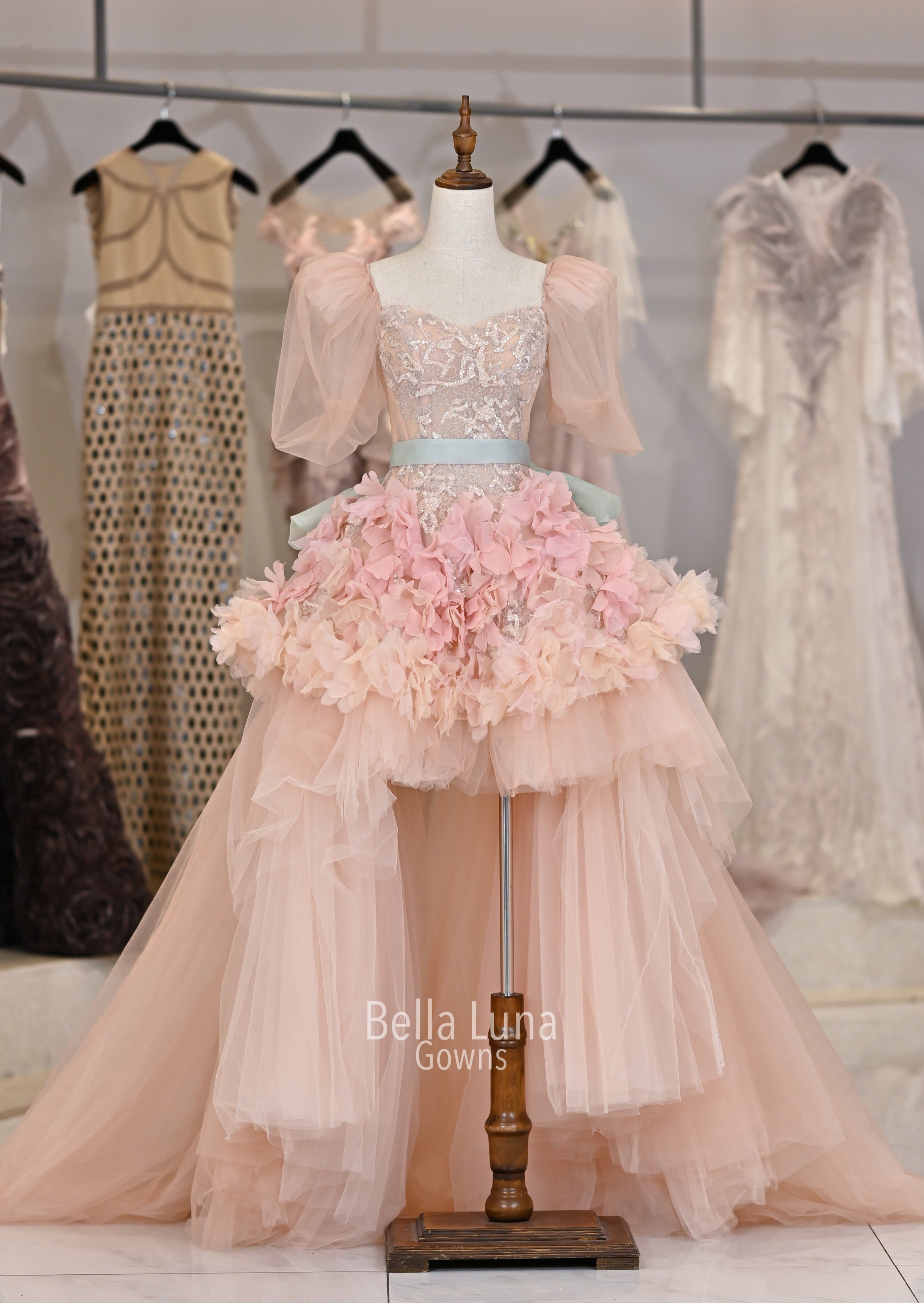 VIP1829 - Bella Luna Gowns