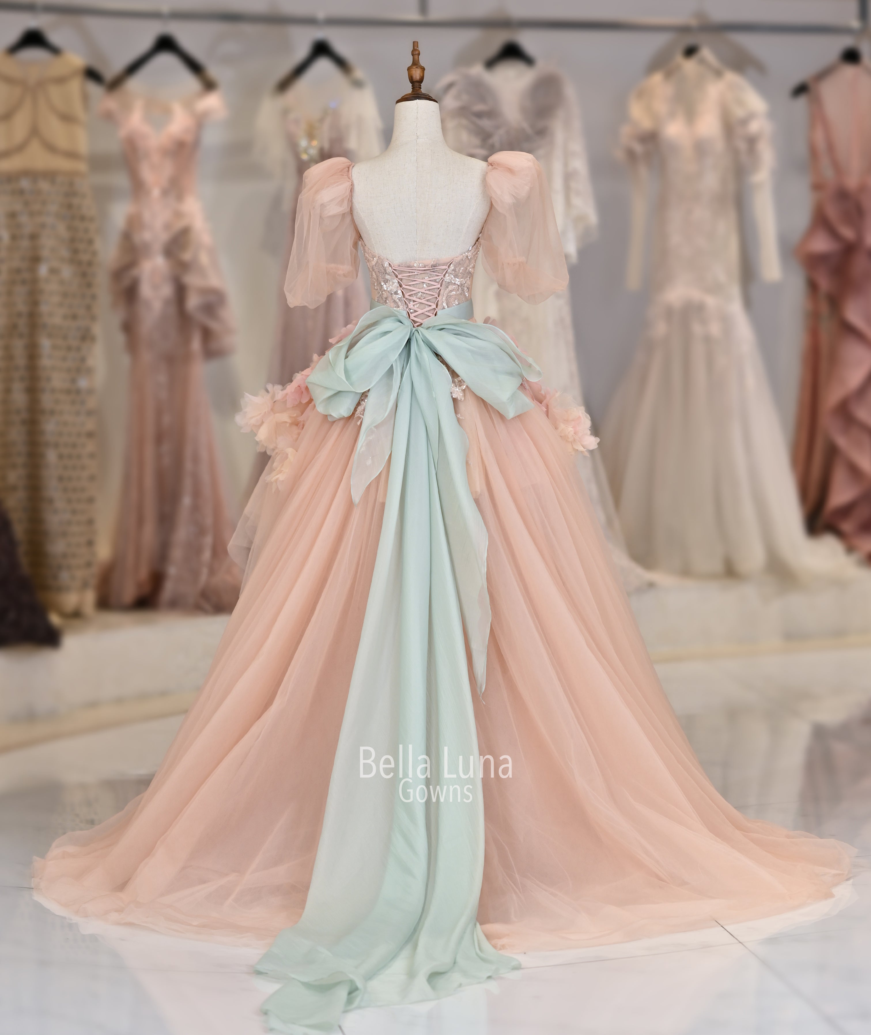 VIP1829 - Bella Luna Gowns