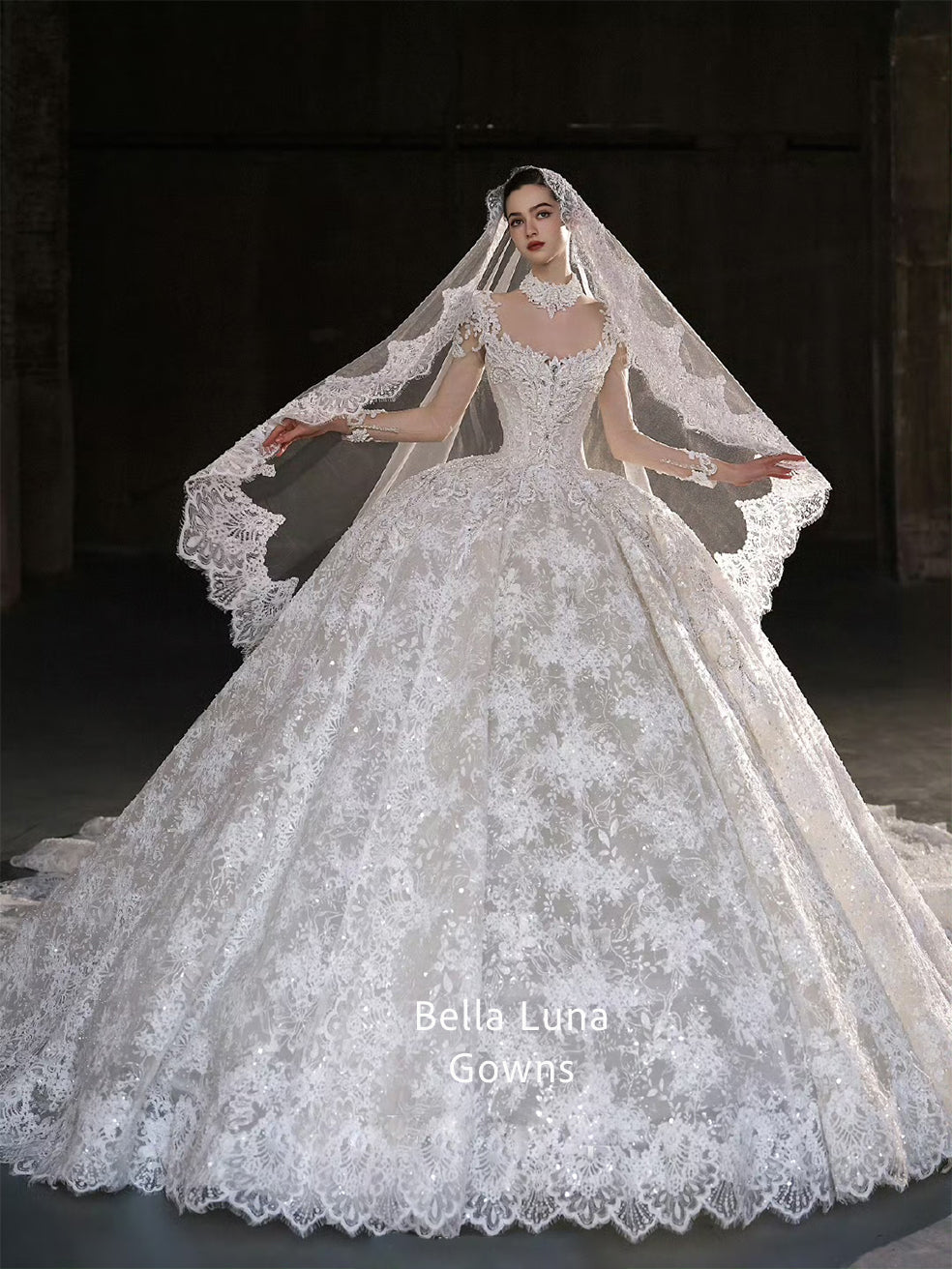 WS1096 - Bella Luna Gowns