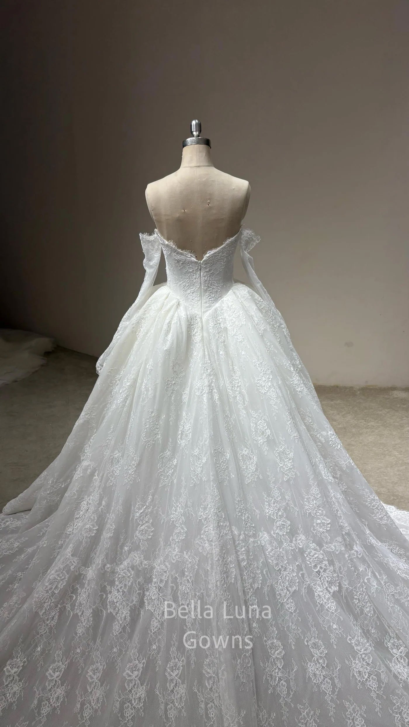 Back view of Odette off-white corded French lace bridal ball gown showing full skirt and train