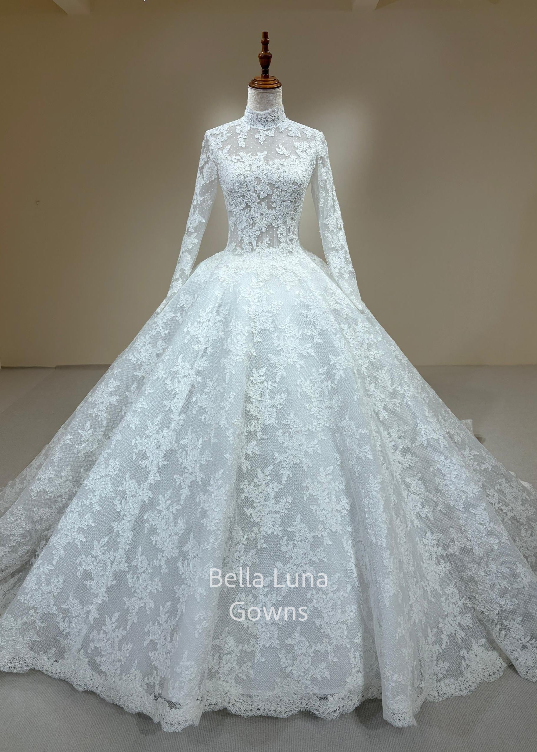 PR101 - Bella Luna Gowns