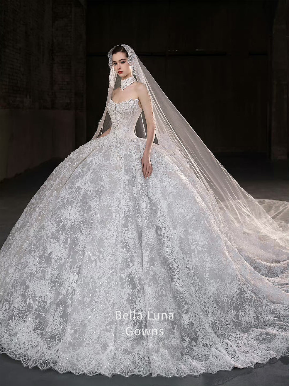WS1096 - Bella Luna Gowns