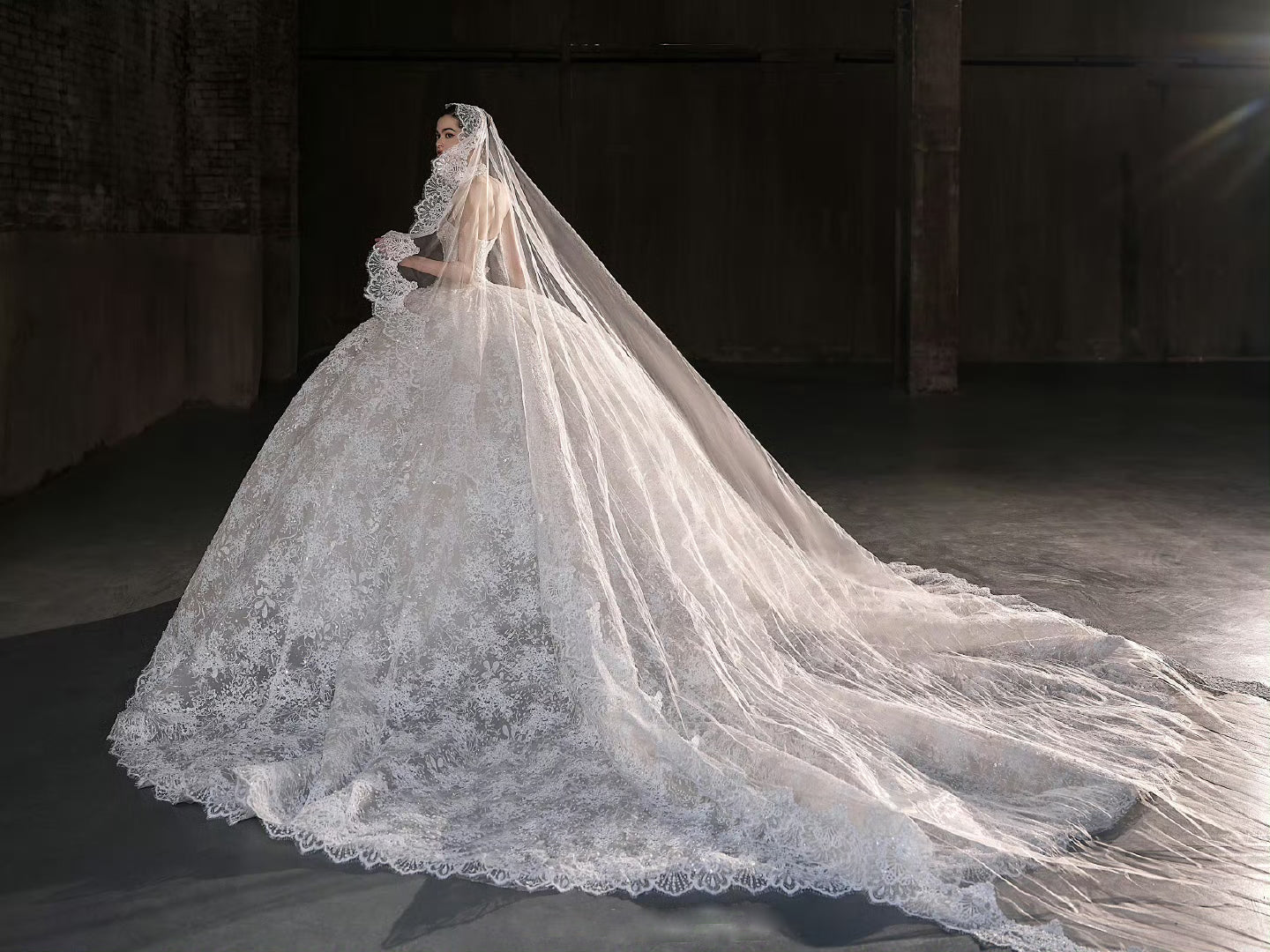 WS1096 - Bella Luna Gowns