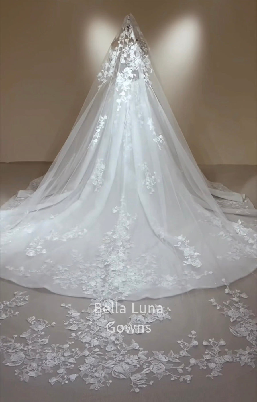 Back view of view of Arabella Shimmer wedding gown showing scalloped floral lace border across the extended train and styled with cathedral Veil