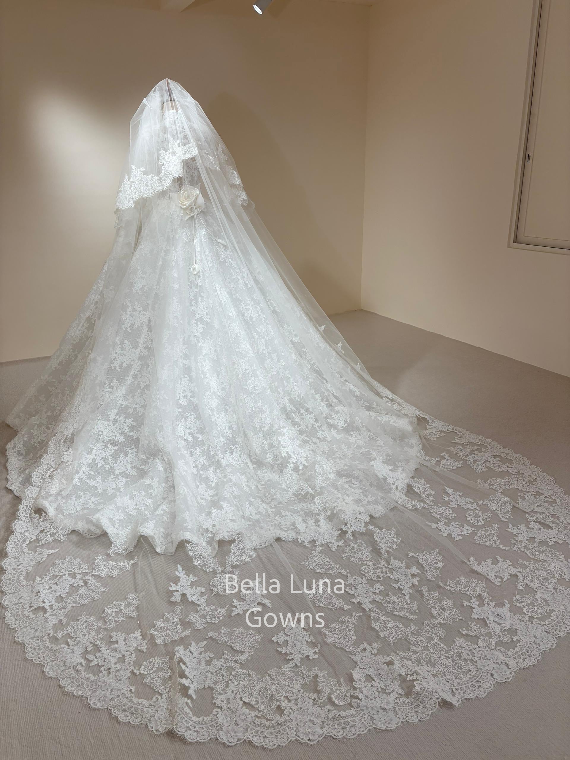 PR101 - Bella Luna Gowns