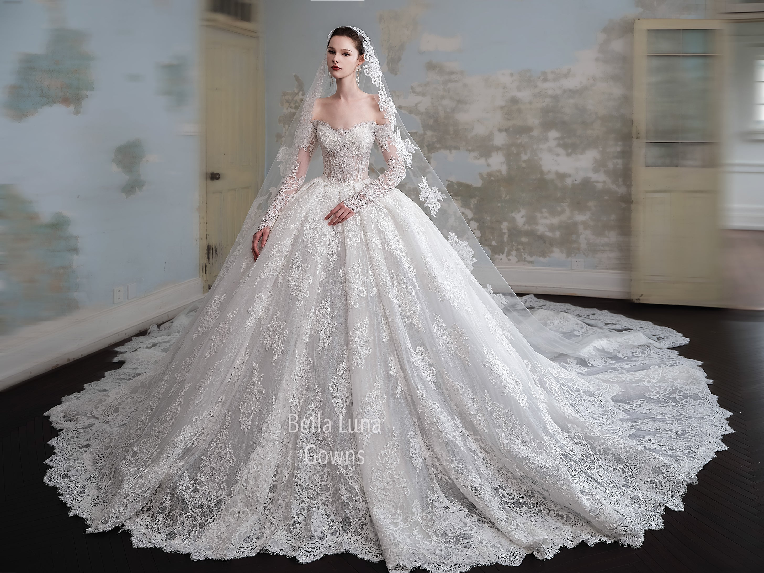 VIPCS33 - Bella Luna Gowns