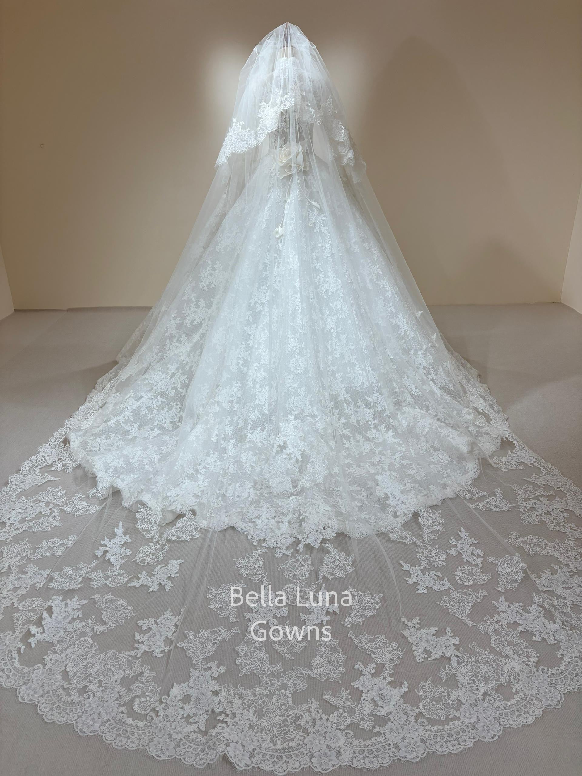 PR101 - Bella Luna Gowns