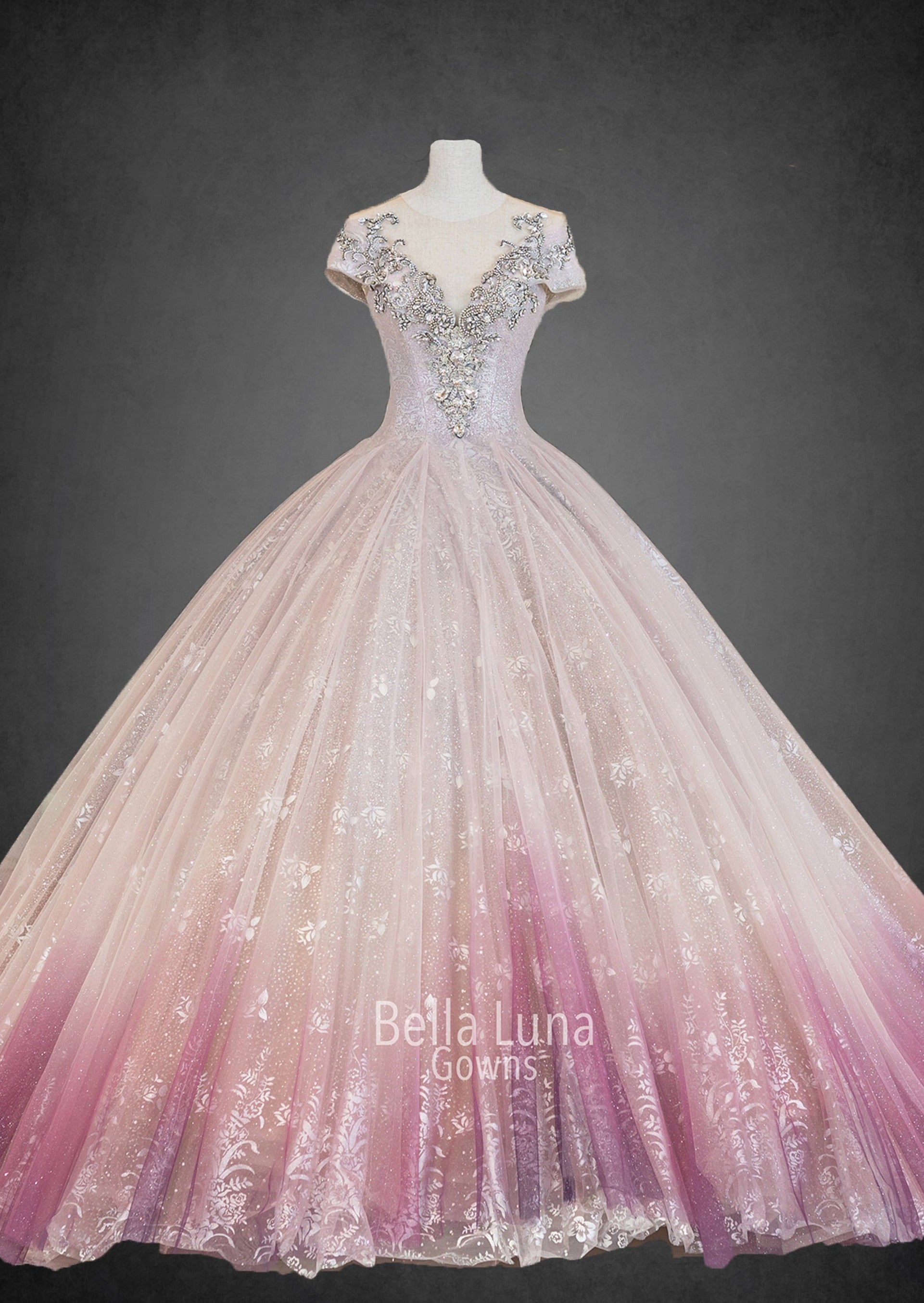 VIP5048 - Bella Luna Gowns