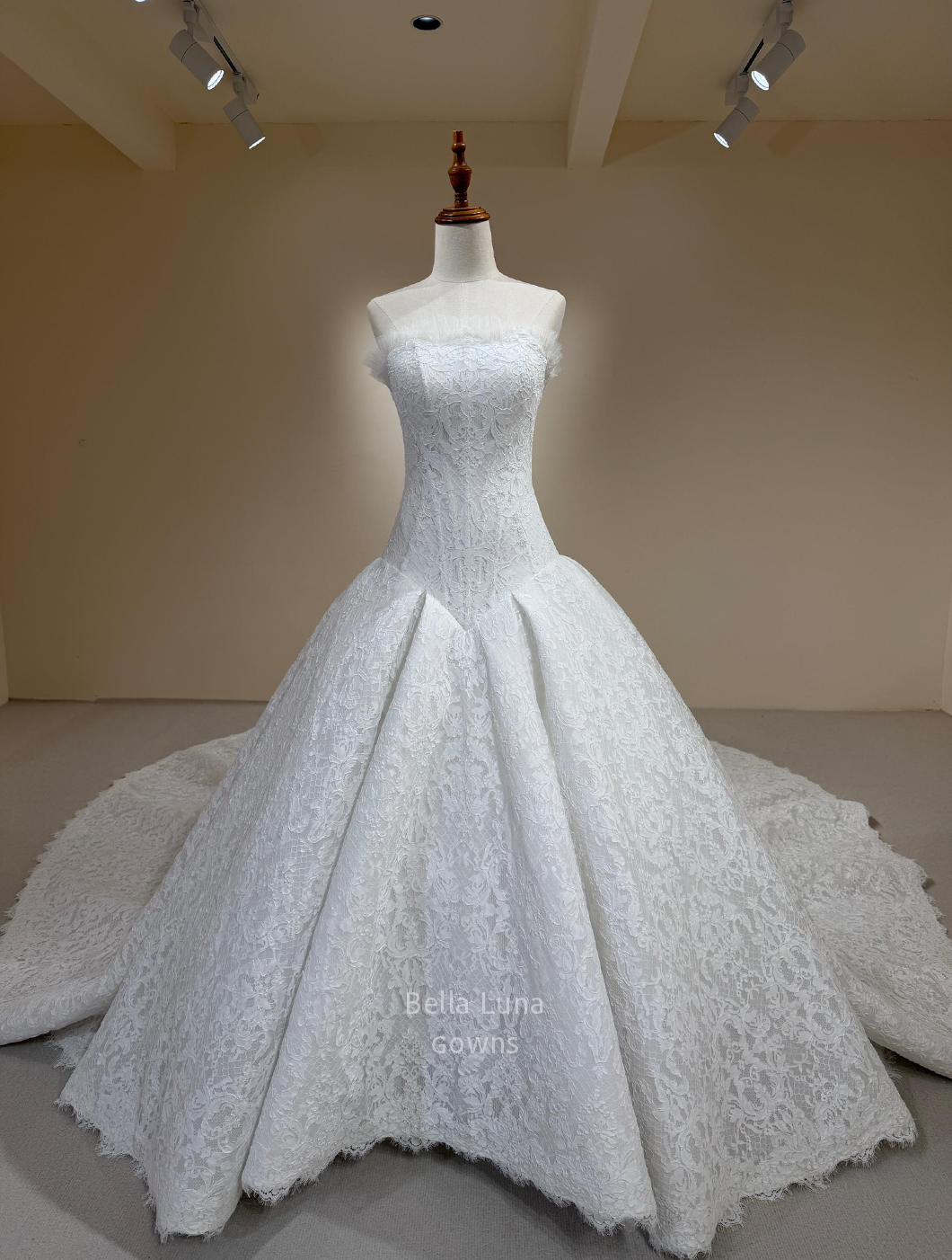 Front view of Isolde strapless corded French lace basque drop waist wedding dress