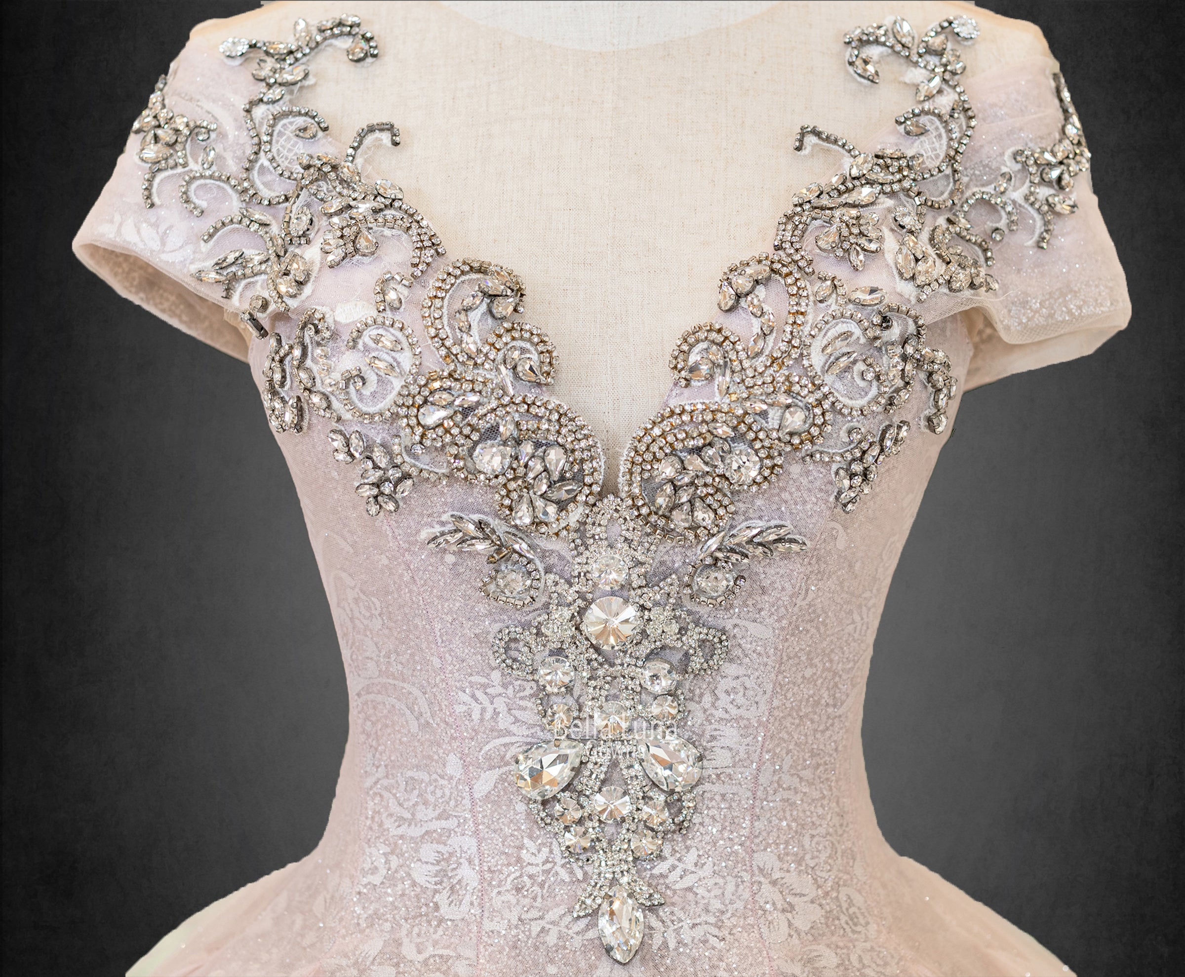 VIP5048 - Bella Luna Gowns