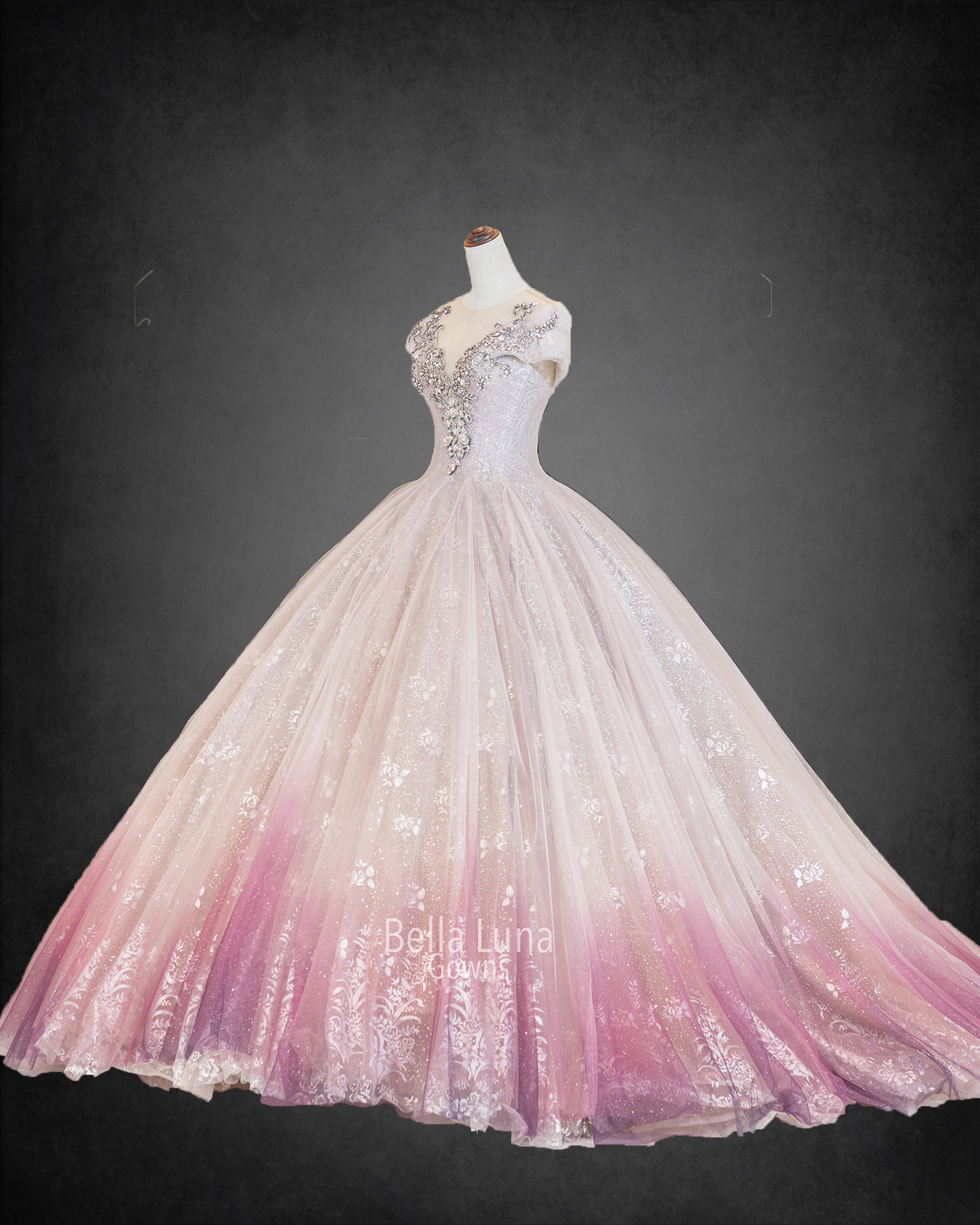 VIP5048 - Bella Luna Gowns