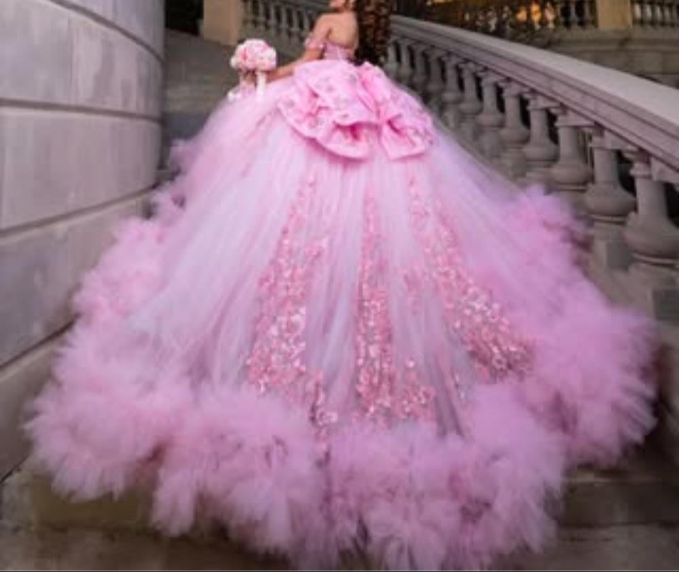 Custom Order 1122 - Bella Luna Gowns