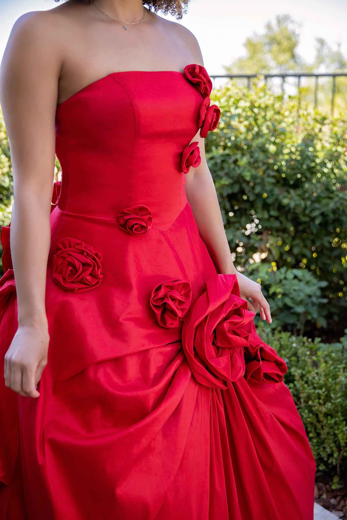Stock Scarlet Rose