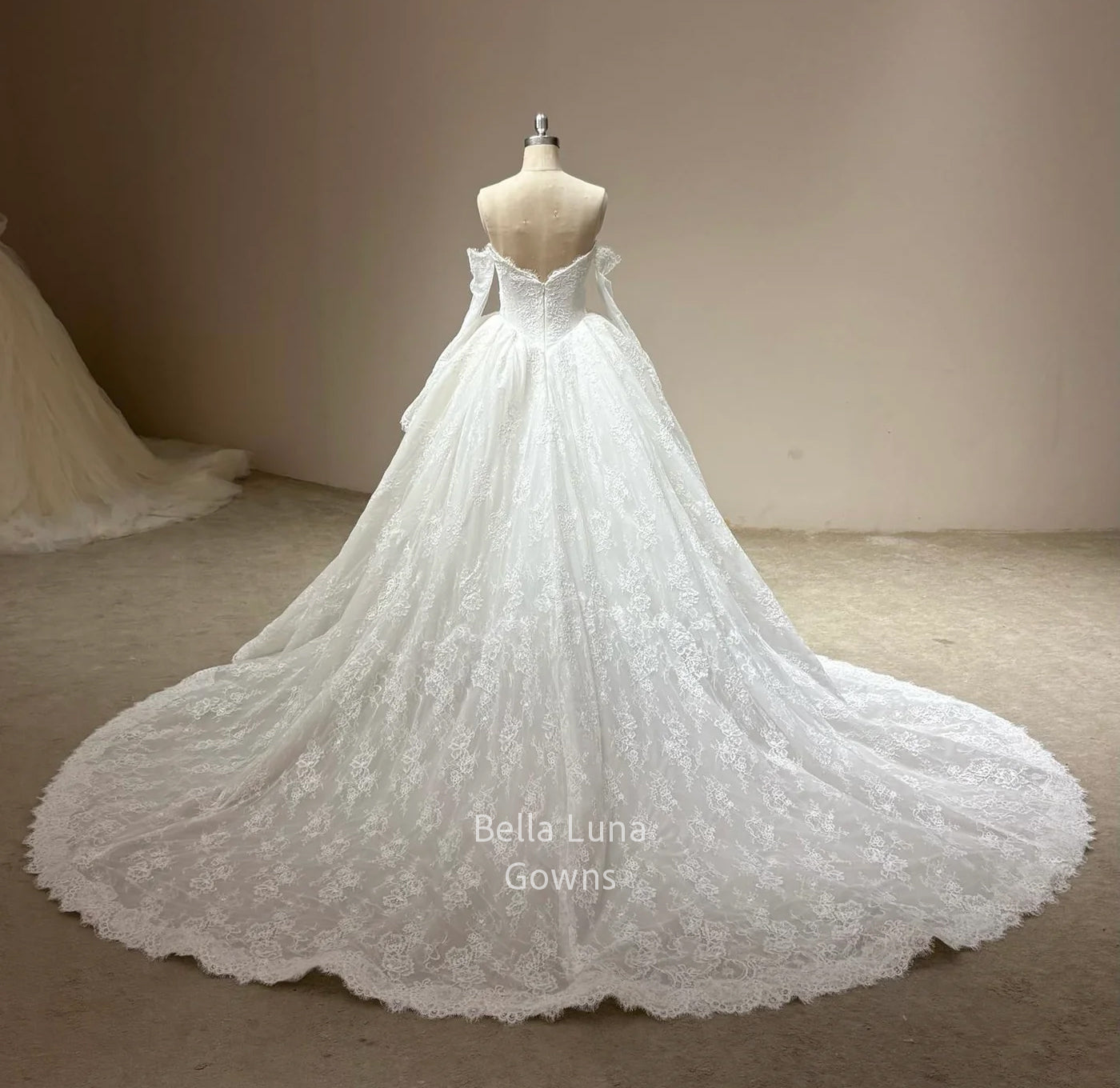 Back view of Odette off-white corded French lace bridal ball gown showing full skirt and  court train