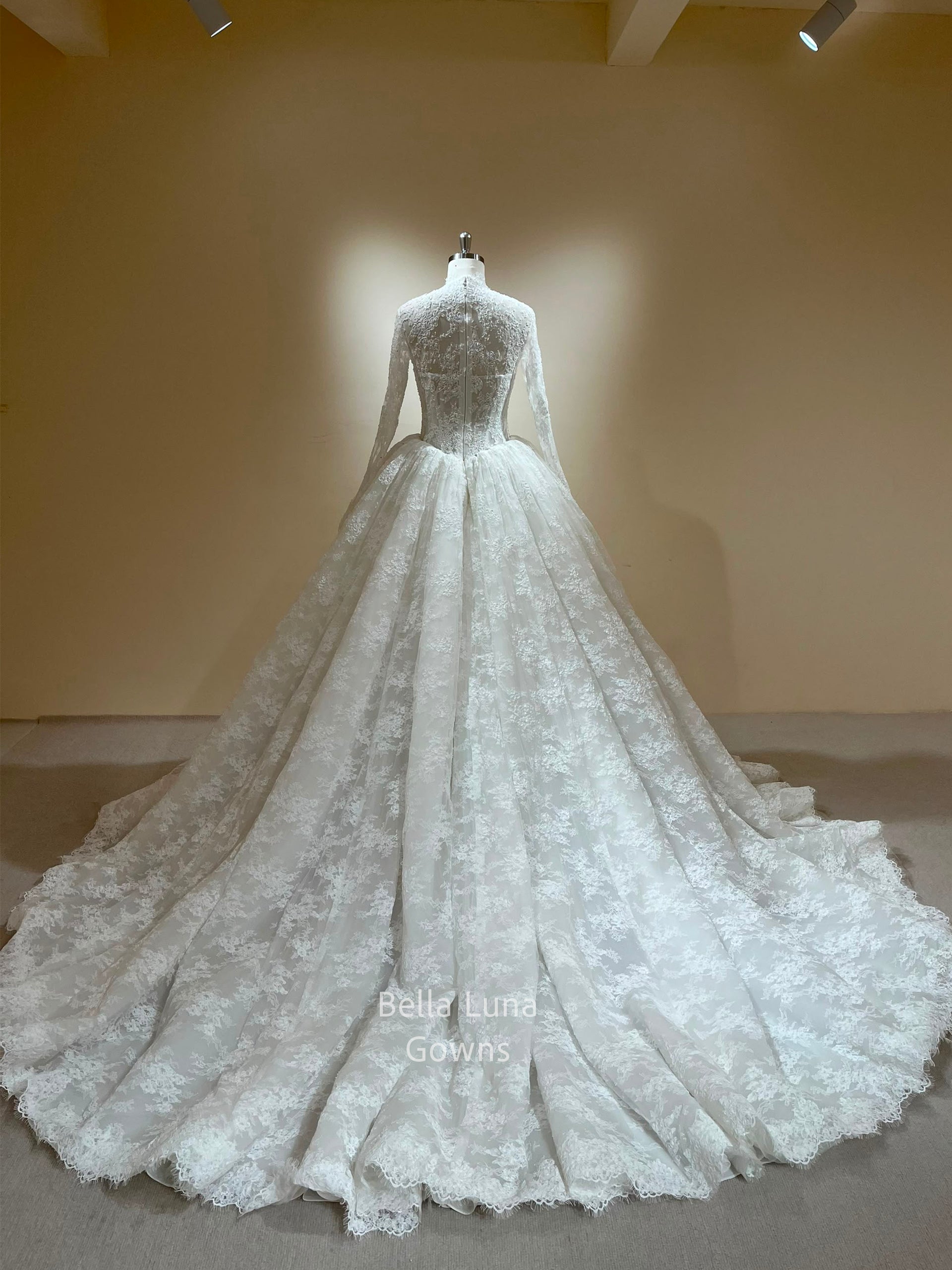 Full back view of the Theodora lace ball gown and coordinating long lace-border veil sold separately
